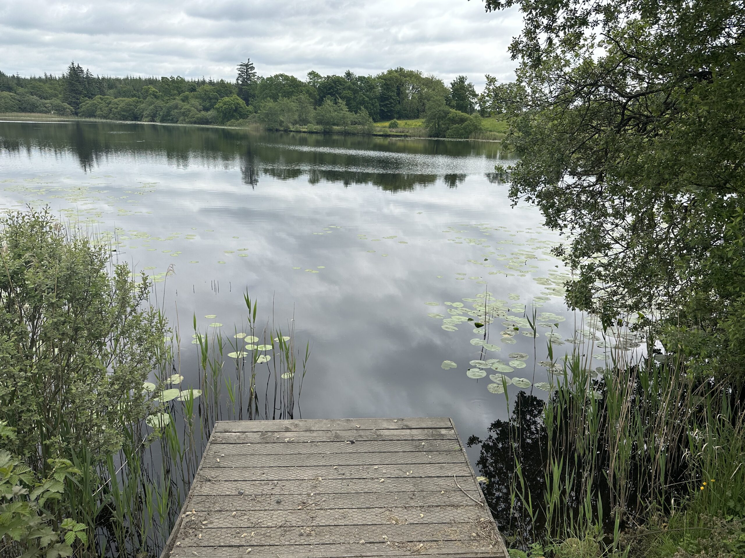 Nature walks