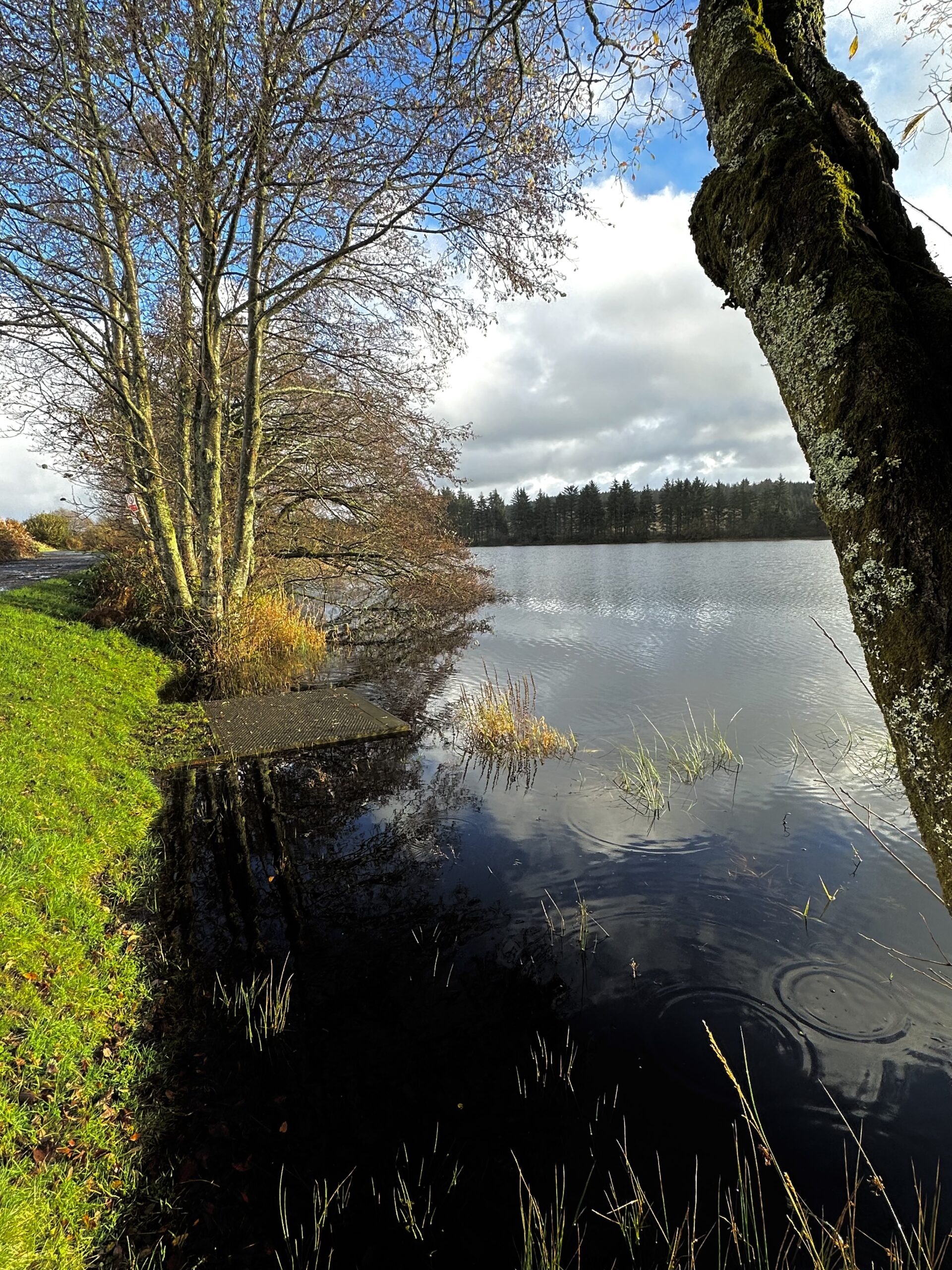 The loch